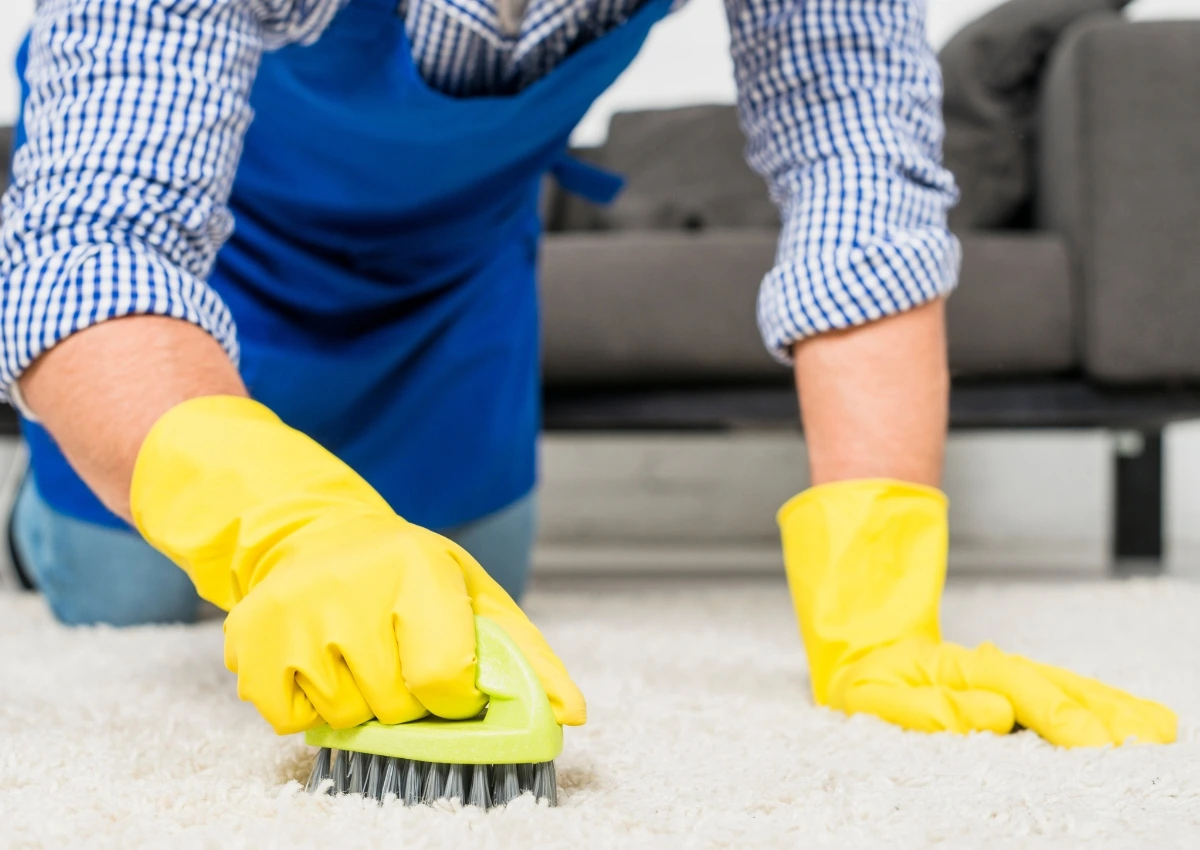 Sofa & Carpet Shampooing